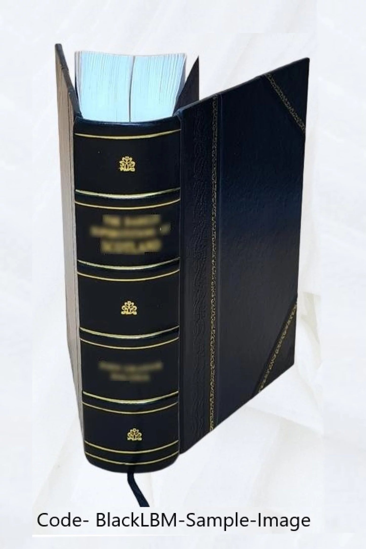 The Geneva Bible 1560 1560 [Leather Bound]