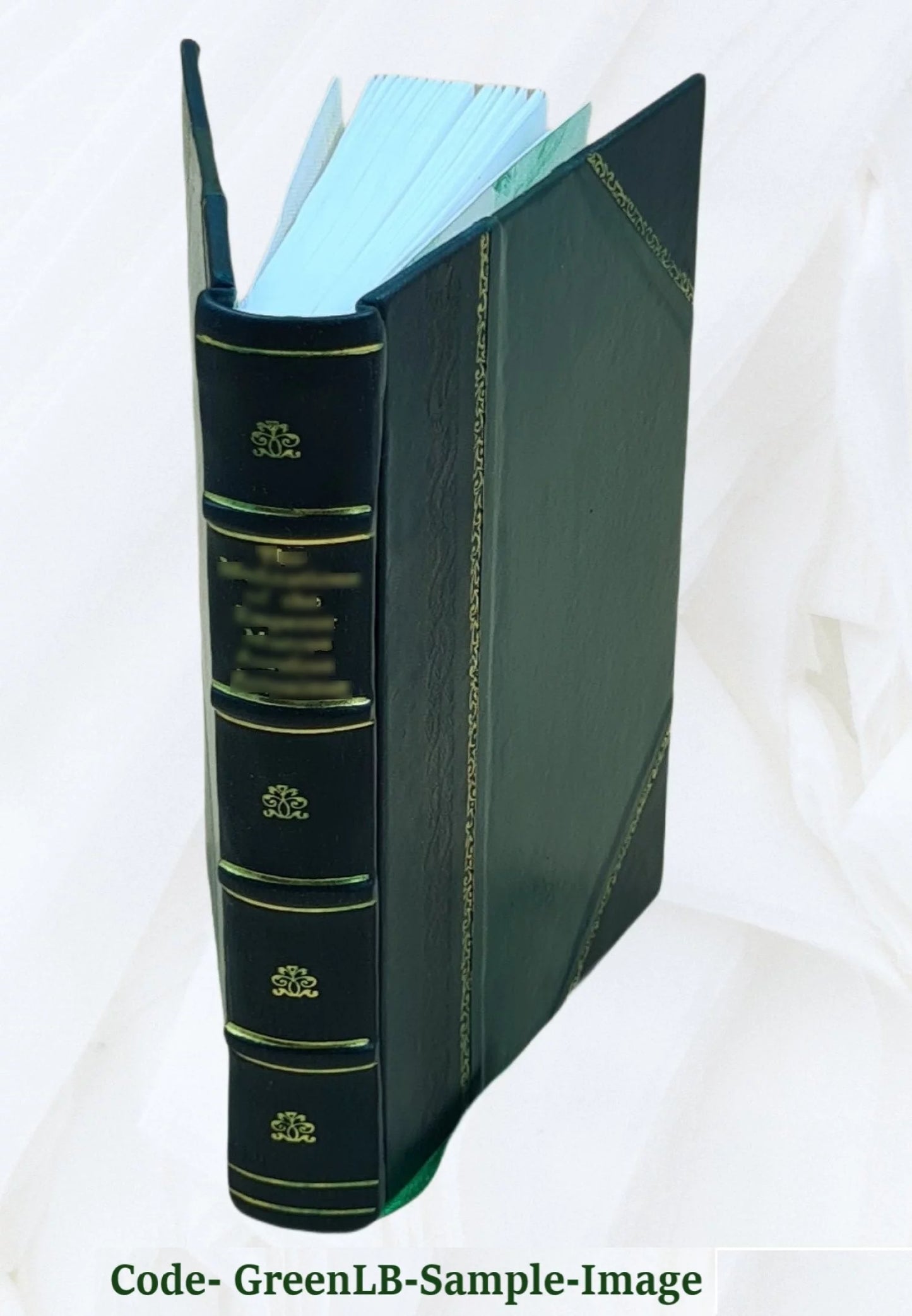 The story of the Bernheim family / by Isaac Wolfe Bernheim. 1910 [Leather Bound]