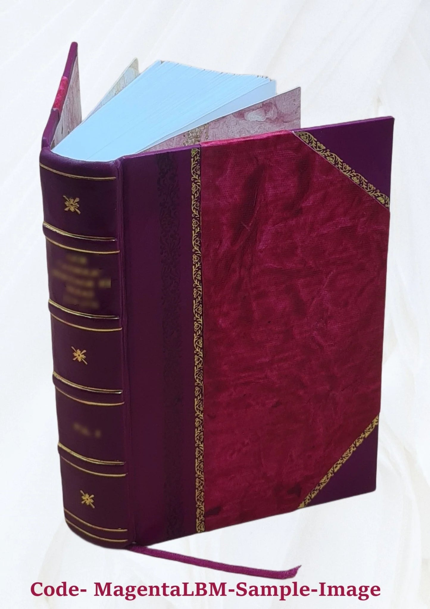 C. Crispi Sallustii Opera quae exstant omnia cum indicibus curante I.L. Burnouf 1827 [Leather Bound]