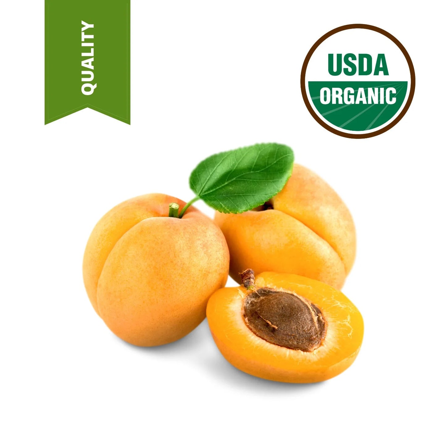 4 Lbs Fresh Organic Apricot Kernel oil cold pressed 100% pure oil from