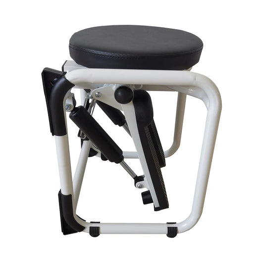 Stepper with Twist Stool