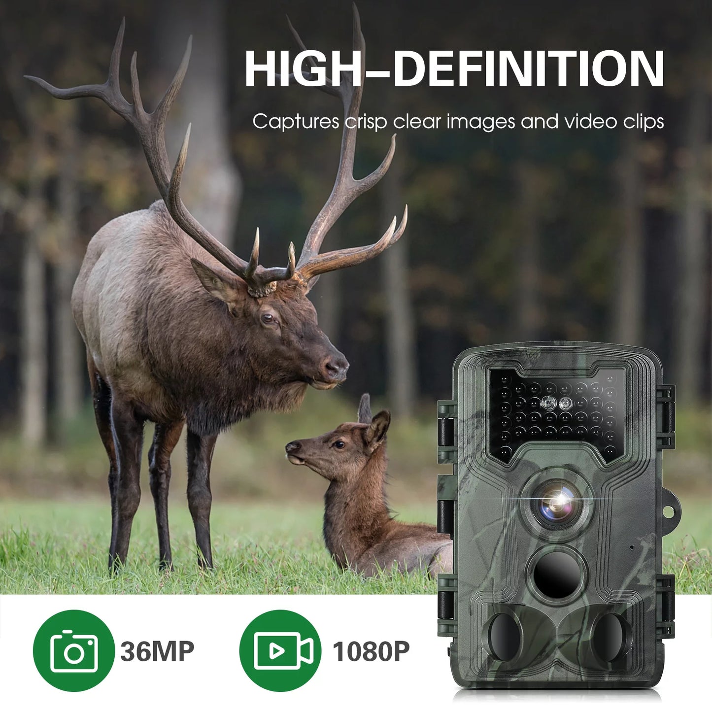 Waterproof 1080P Trail and Game Camera, 36MP Night Vision Camera for Wildlife Researching