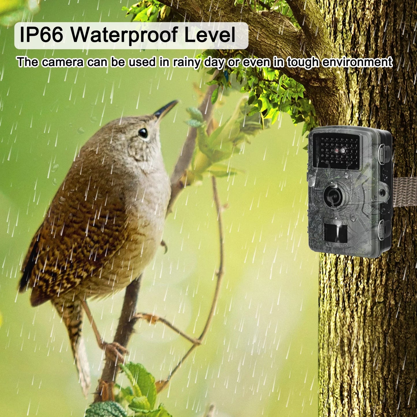 Tomshoo Capture Wildlife Moments with our 16MP 1080P Portable Trail Camera IP66 Waterproof, Infrared Lights