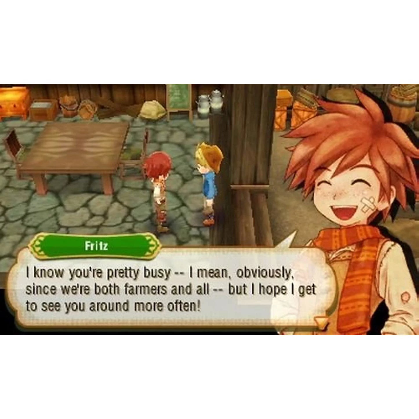 Story Of Seasons - Nintendo 3Ds