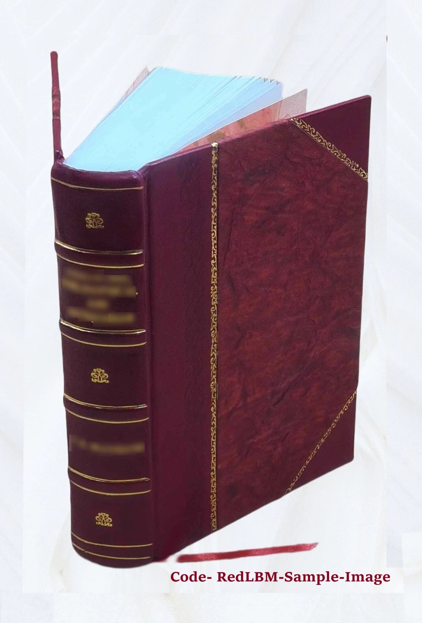 The Geneva Bible 1560 1560 [Leather Bound]