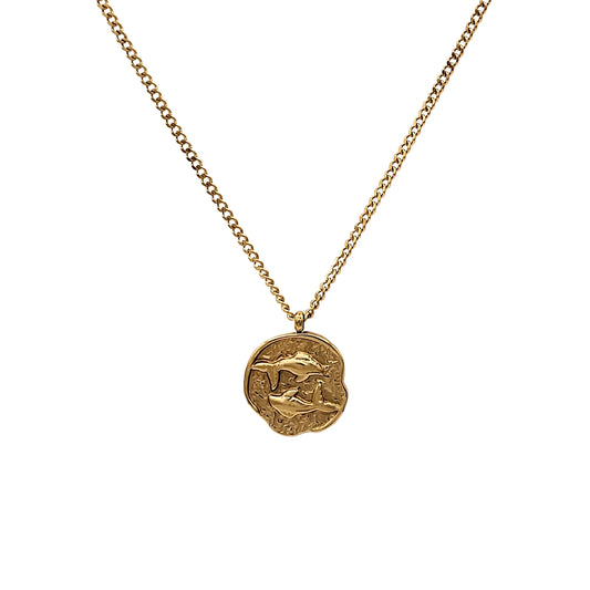 Blue Box Boutique Inc Gold Stainless Steel Pisces Zodiac Pendant Necklace for Women, Teens | Horoscope, Birthday Gift