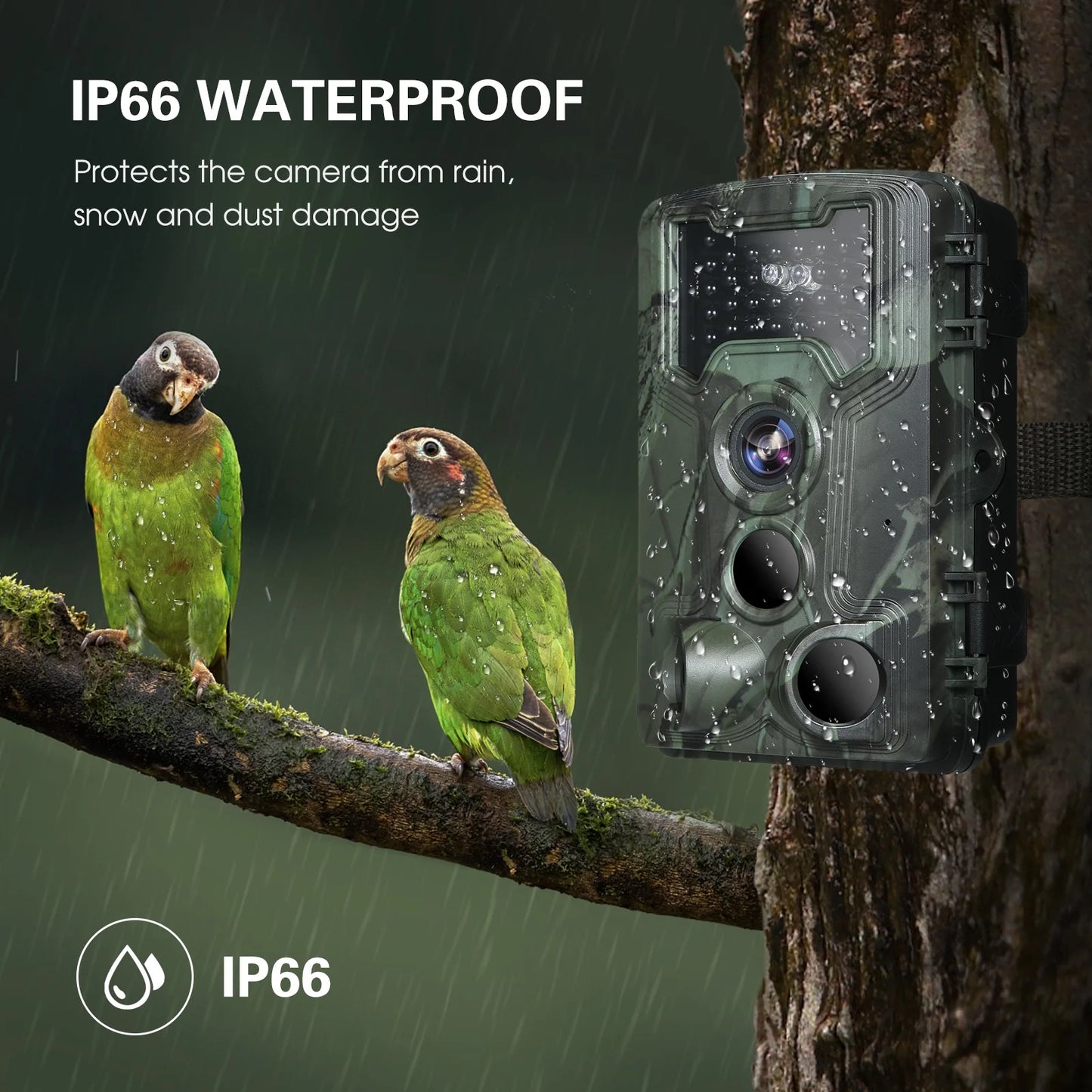 Waterproof 1080P Trail and Game Camera, 36MP Night Vision Camera for Wildlife Researching